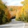 One Scenic Drive to Explore Mulmur’s Spectacular Fall Foliage